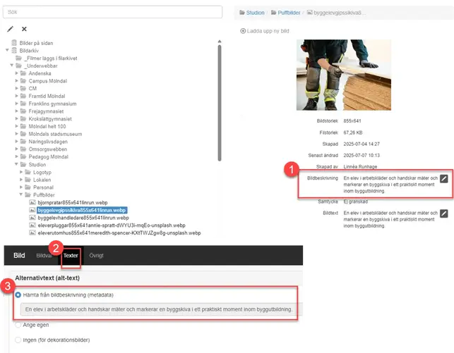Steg 1 - 3 för hur du anger en korrekt alt-text.