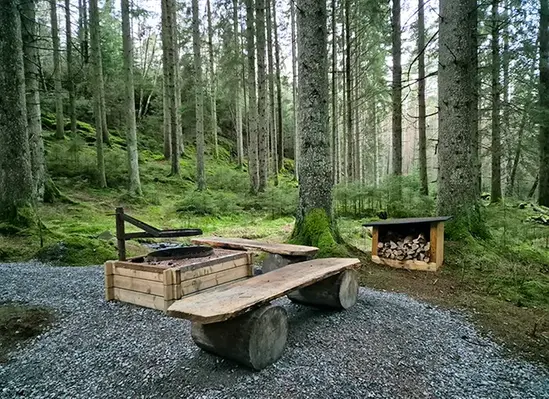 En grillplats vid Djursjöleden med skog i bakgrunden.