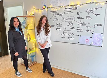 pedagoger vid processvägg