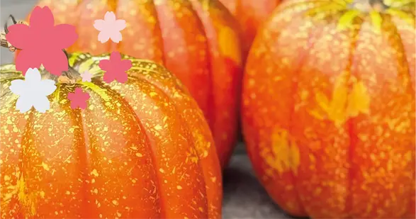 Orange pumpor med ljusgröna stjälkar och rosa blommor överlagda.