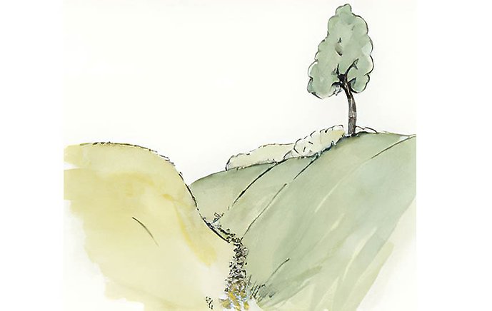 Illustration i akvarell som visar en hålväg. En fördjupning har bildas i landskapet där en stig har går. 
